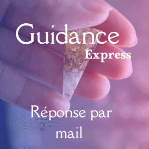 mini guidance express